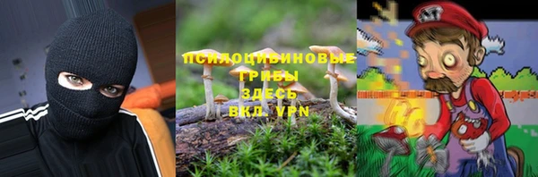 прущая мука Верея