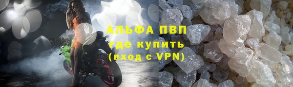 прущие грибы Верхнеуральск