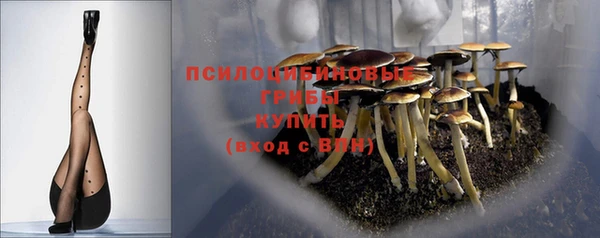ГАЛЛЮЦИНОГЕННЫЕ ГРИБЫ Верхний Тагил