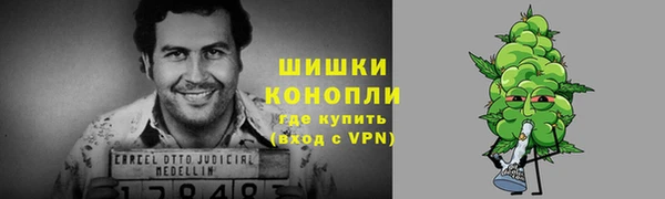прущие грибы Верхнеуральск