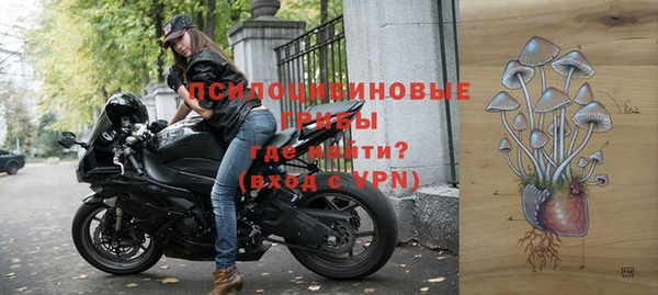 ГАЛЛЮЦИНОГЕННЫЕ ГРИБЫ Верхний Тагил