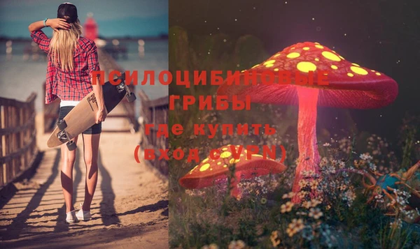 прущая мука Верея