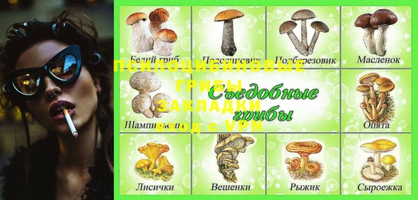 прущая мука Верея