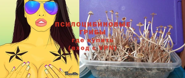ГАЛЛЮЦИНОГЕННЫЕ ГРИБЫ Верхний Тагил